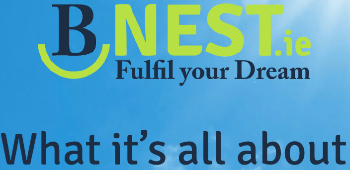 BNest and Nexus Social Incubator Programme