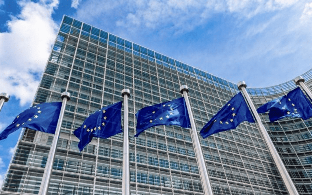 Call for Papers from European Commission