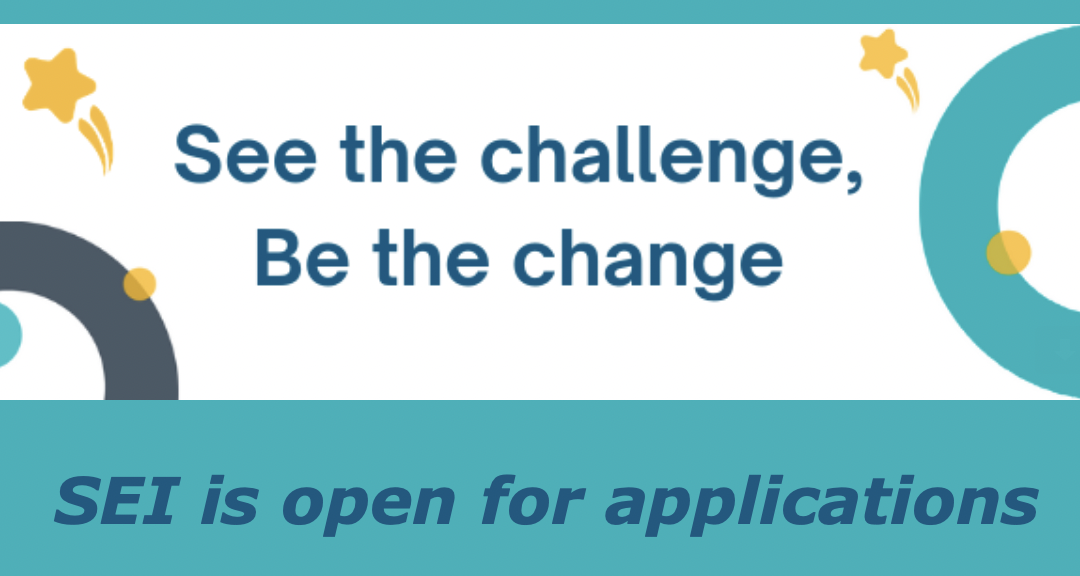 Open for applications – See the challenge, Be the change – #ApplyToSEI