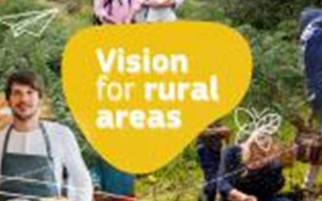 A long-term vision for Rural areas that includes the Social Economy! ENSIE