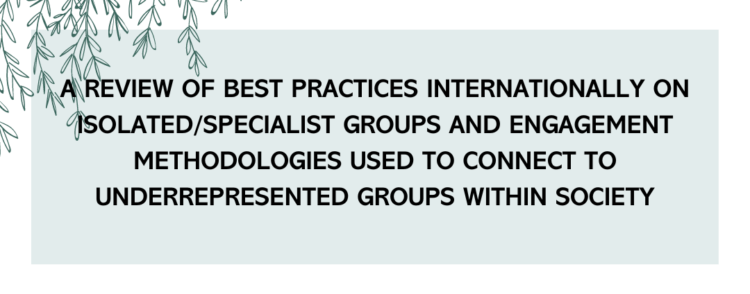 SII: A Review of Best Practices Internationally on Isolated/Specialist Groups