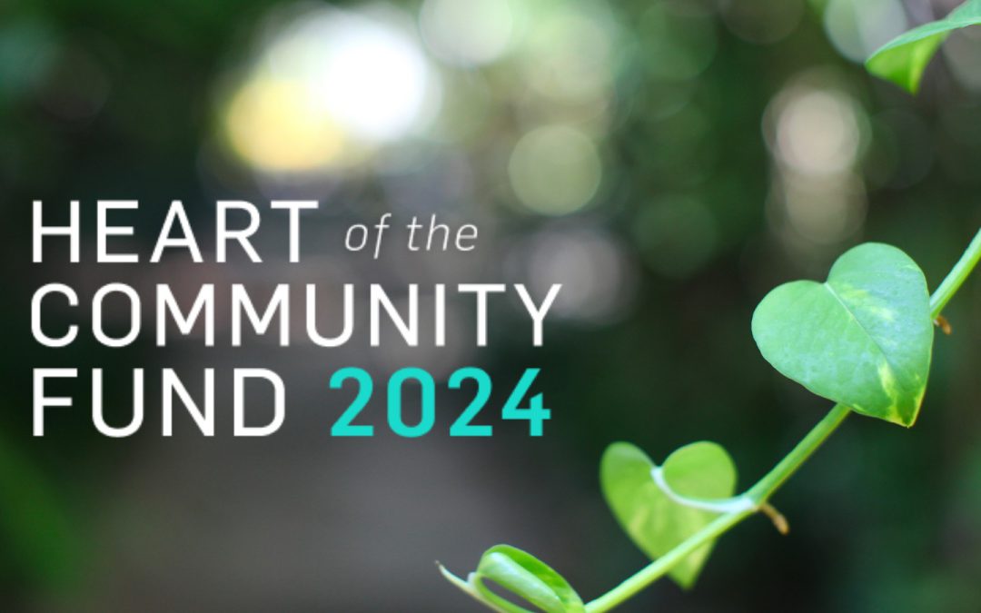 The Ireland Funds, Heart of the Community Fund