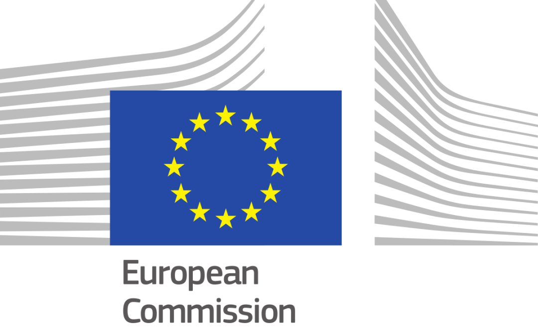 Social Economy FlagshipReport: Survey on taxation and business support schemes in EU Member States